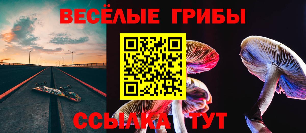 Псилоцибиновые грибы прущие грибы  Галлюциногенные грибы Cubensis  Старый Оскол  Вход с VPN 