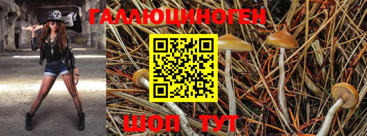 Псилоцибиновые грибы мицелий Старый Оскол